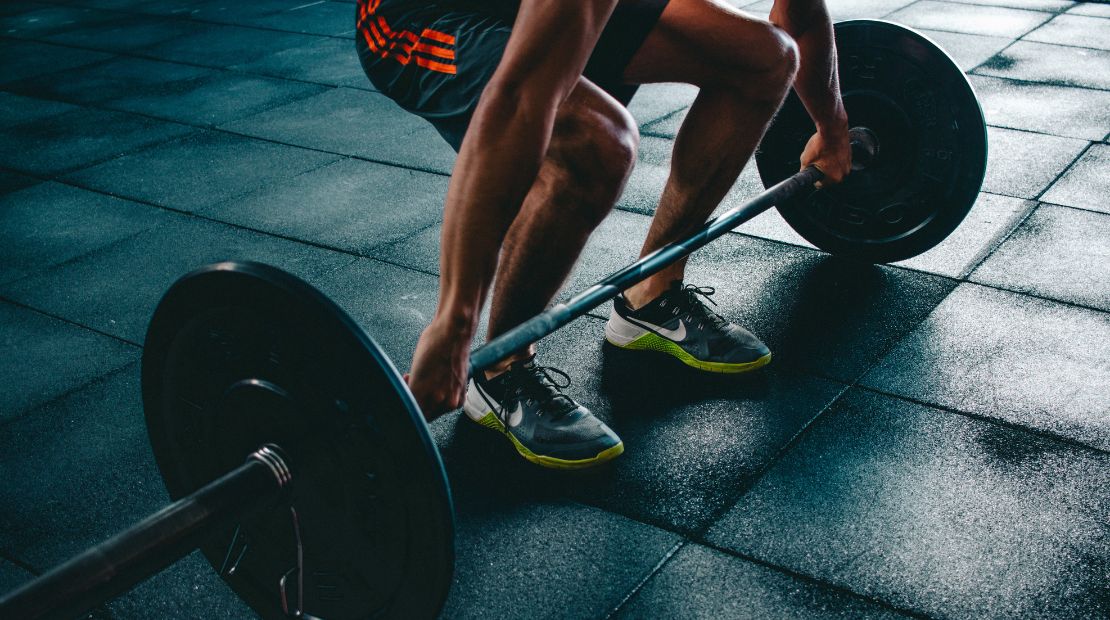 Muscle building