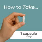 DAO Supplement