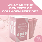 Collagen Sachets