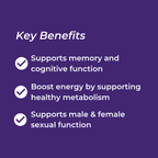 Shilajit Capsules
