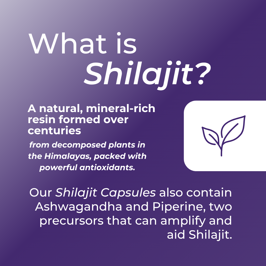 Shilajit Capsules